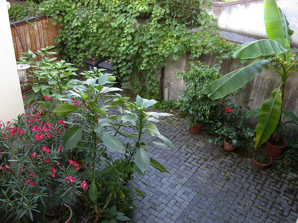 Die Sprachpension - The Language Guesthouse Vogtsburg im Kaiserstuhl Extérieur photo