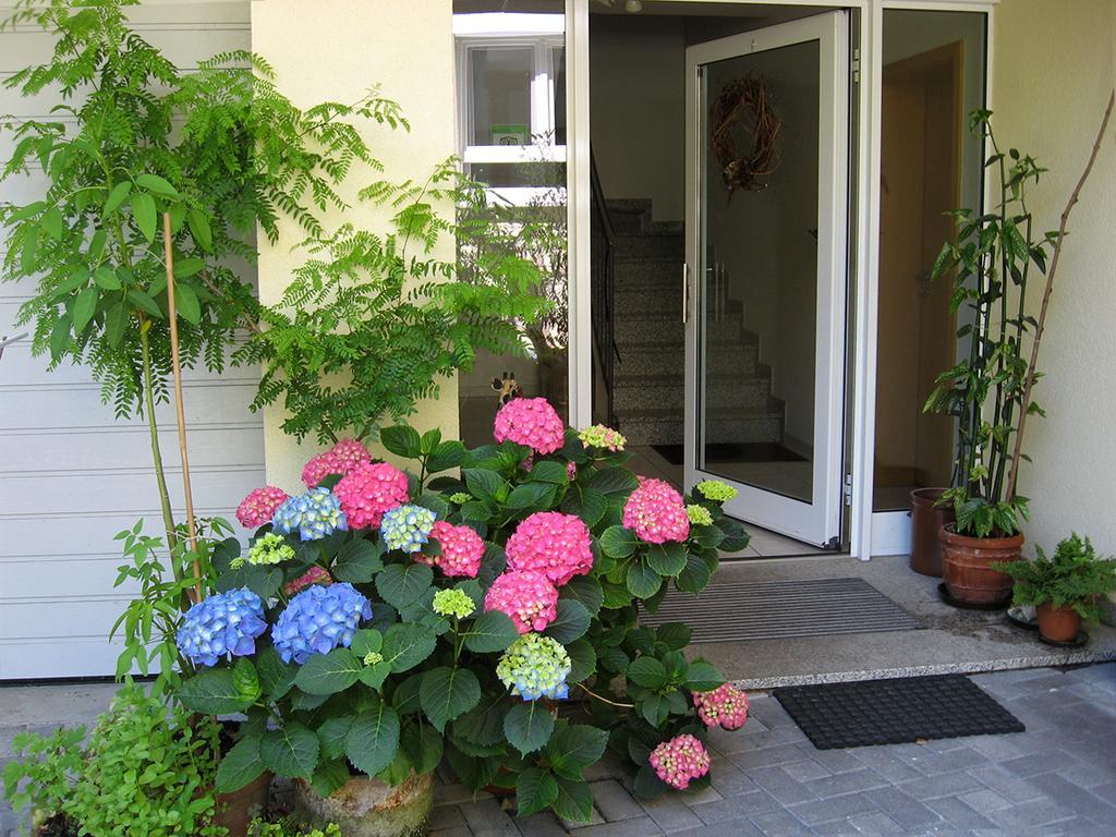 Die Sprachpension - The Language Guesthouse Vogtsburg im Kaiserstuhl Extérieur photo