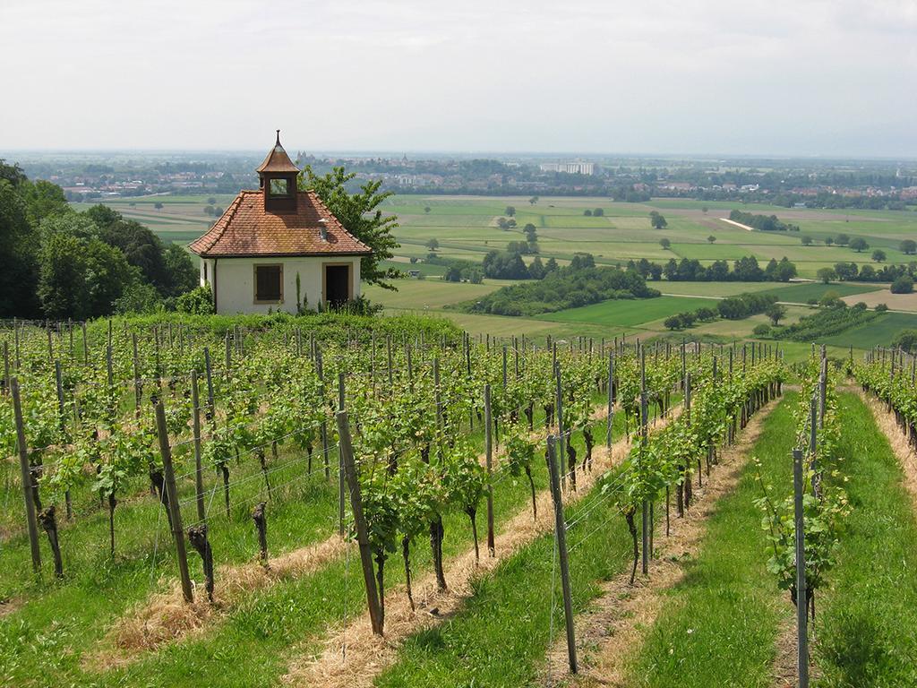 Die Sprachpension - The Language Guesthouse Vogtsburg im Kaiserstuhl Extérieur photo