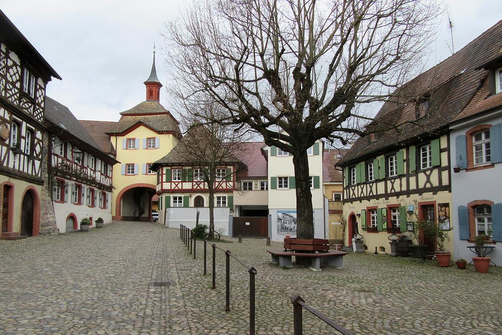 Die Sprachpension - The Language Guesthouse Vogtsburg im Kaiserstuhl Extérieur photo