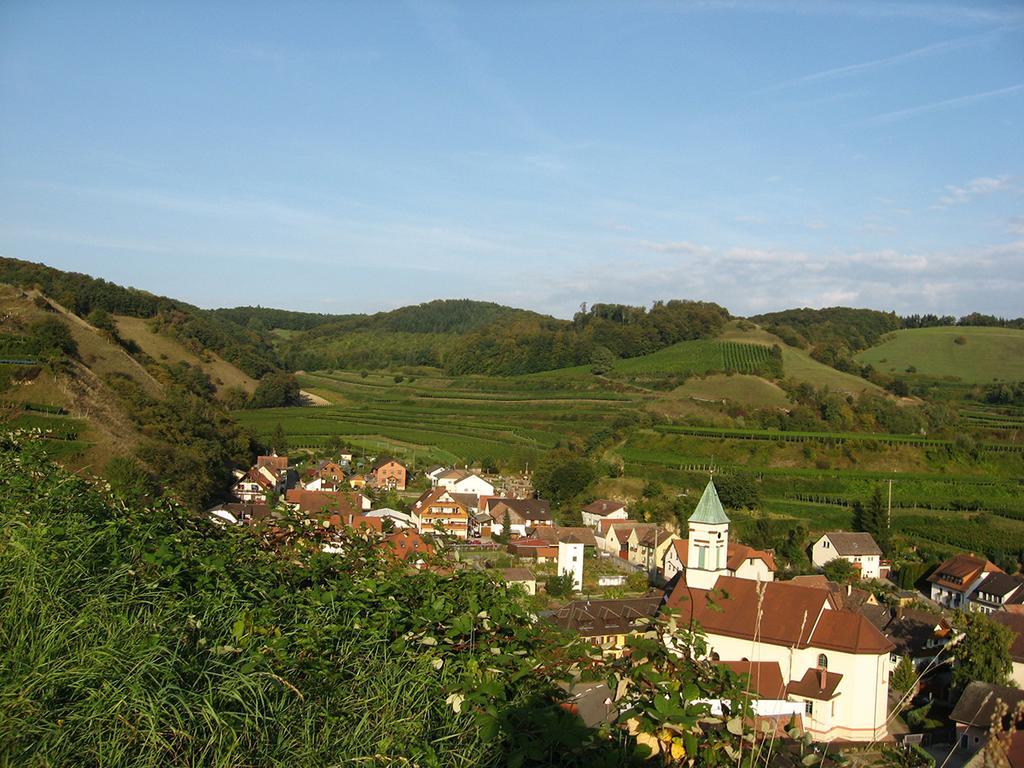 Die Sprachpension - The Language Guesthouse Vogtsburg im Kaiserstuhl Extérieur photo
