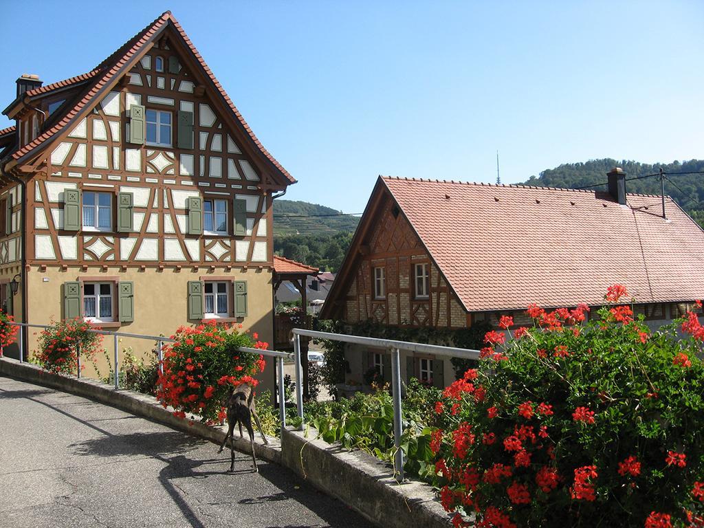 Die Sprachpension - The Language Guesthouse Vogtsburg im Kaiserstuhl Extérieur photo