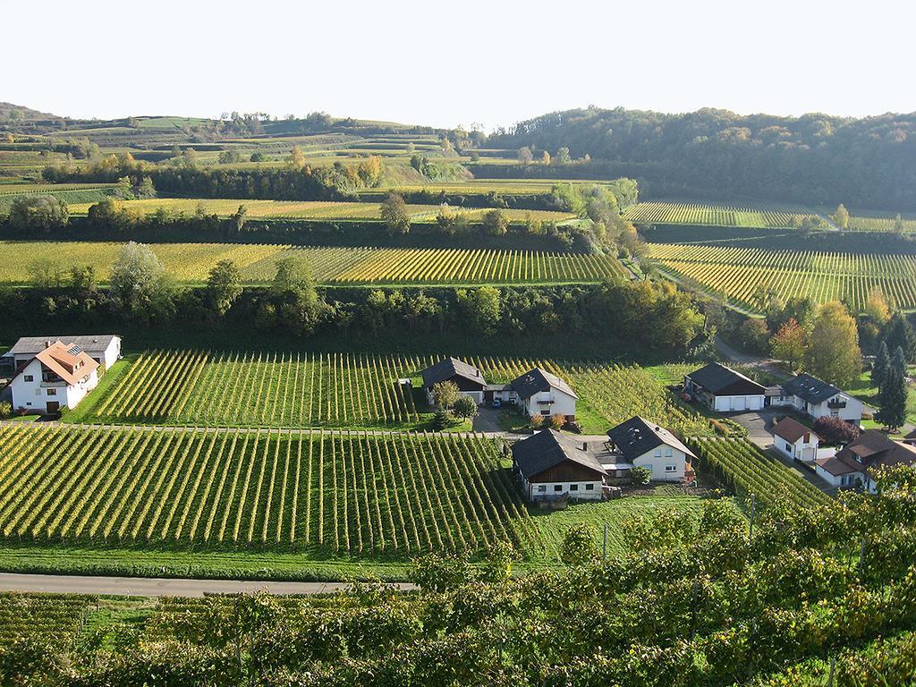 Die Sprachpension - The Language Guesthouse Vogtsburg im Kaiserstuhl Extérieur photo
